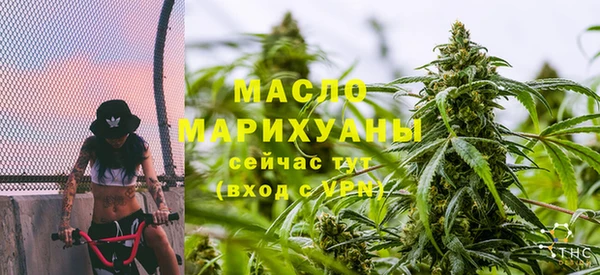 крисы Верхний Тагил
