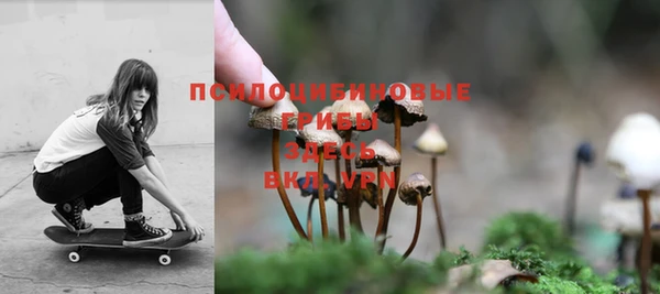 крисы Верхний Тагил