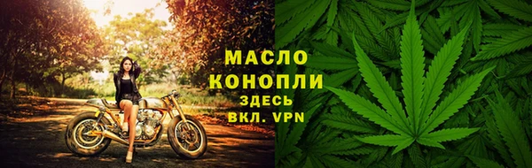 крисы Верхний Тагил