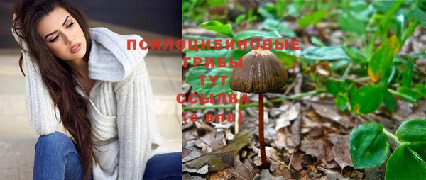 тгк Володарск