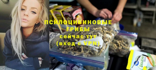 крисы Верхний Тагил